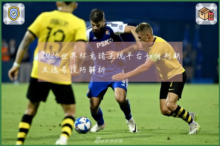 2026世界杯竞猜正规平台如何判断及选号技巧解析