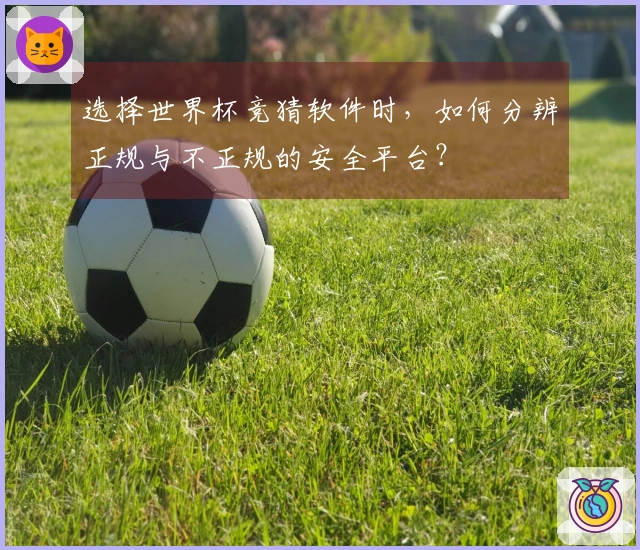 选择世界杯竞猜软件时，如何分辨正规与不正规的安全平台？