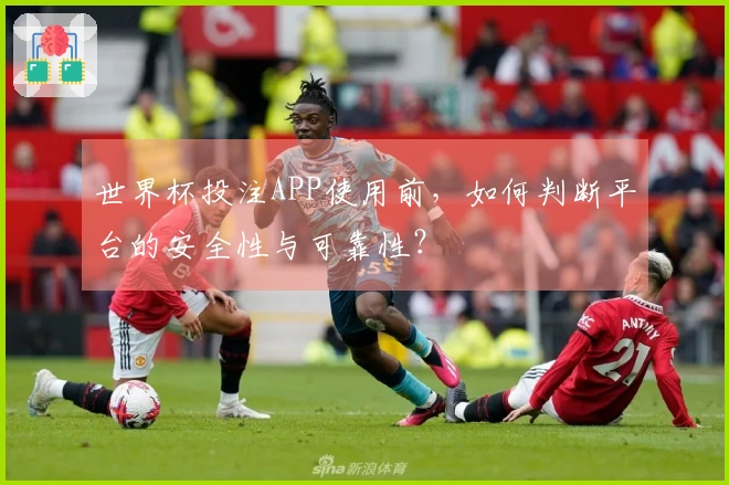 世界杯投注APP使用前，如何判断平台的安全性与可靠性？