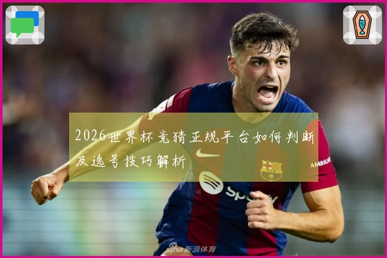 2026世界杯竞猜正规平台如何判断及选号技巧解析