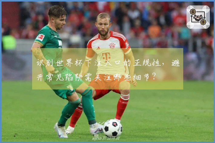 识别世界杯下注入口的正规性，避开常见陷阱需关注哪些细节？