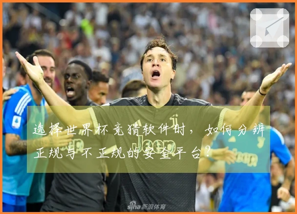 选择世界杯竞猜软件时，如何分辨正规与不正规的安全平台？