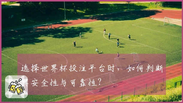 选择世界杯投注平台时，如何判断其安全性与可靠性？